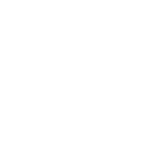 GeoTrust True BusinessID with EV - 1 Year Subscription
