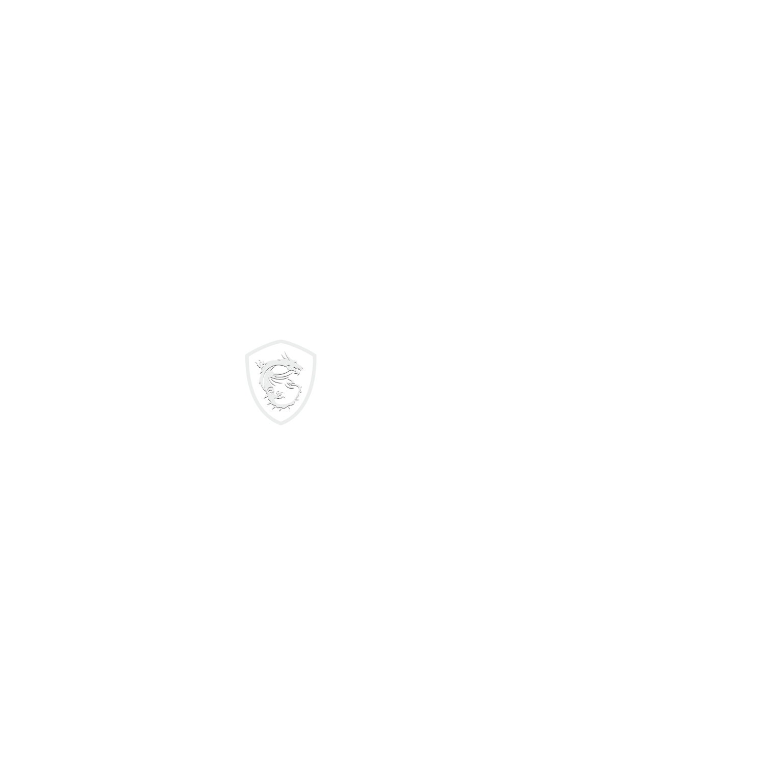 msi-logo-placeholder