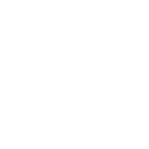 western digital logo